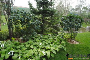 北京市2010年度園林綠化優質工程評選啟動