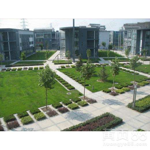 禪城園林綠化工程設計施工全解析 從理念到落地的藝術與科學