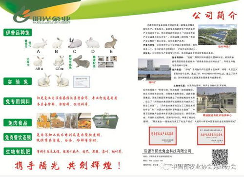 第七屆2017中國(guó)兔業(yè)發(fā)展大會(huì) 行業(yè)精英齊聚，技術(shù)與服務(wù)共繪產(chǎn)業(yè)藍(lán)圖